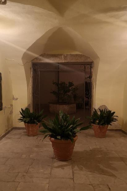 Les Maisons Coco Trani Buitenkant foto